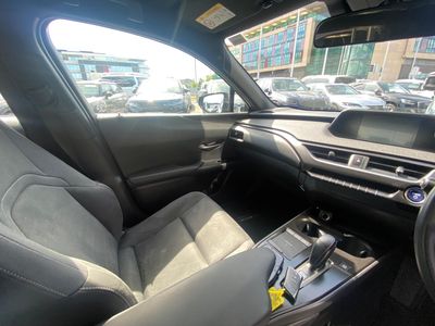2022 Lexus UX 300e