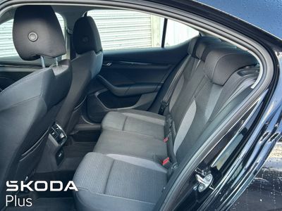 2023 Skoda Octavia