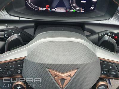 2025 Cupra Terramar