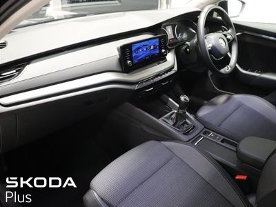 2023 Skoda Octavia
