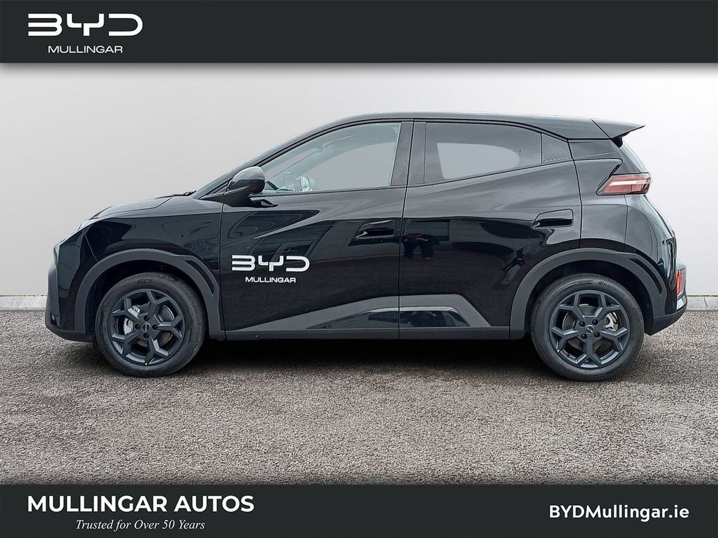 2026 BYD Dolphin Surf