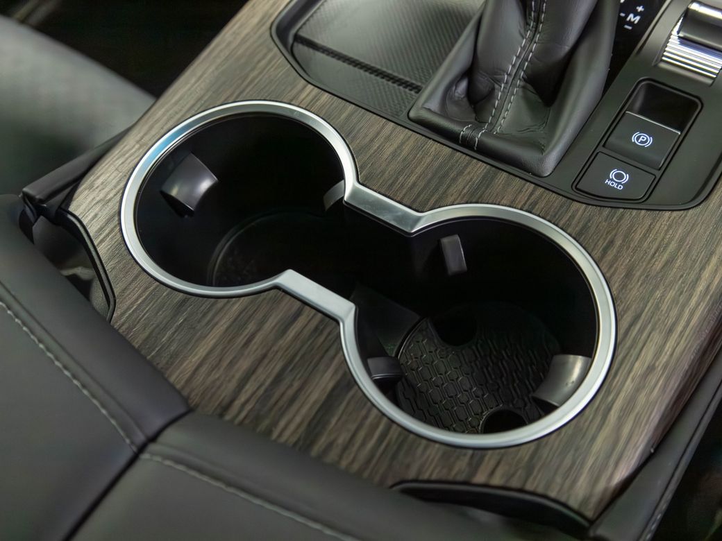 2024 Toyota Land Cruiser Amazon