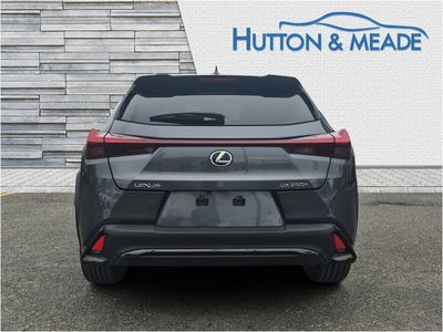 2023 Lexus UX 250H