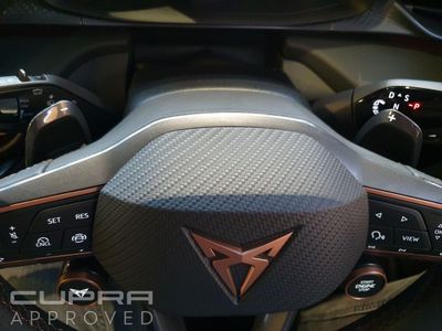 2026 Cupra Terramar