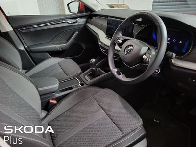 2023 Skoda Octavia