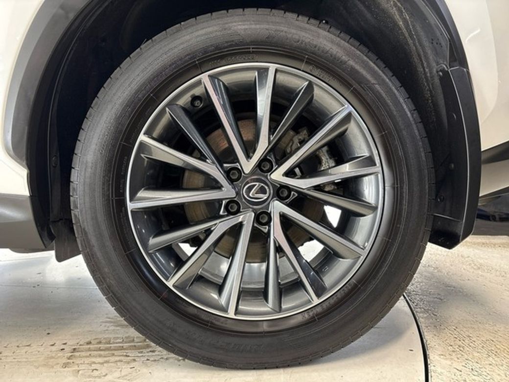 2024 Lexus NX 450H+