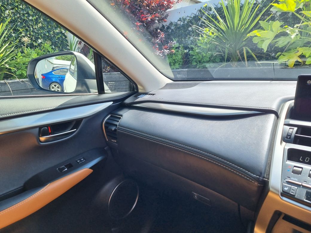 2020 Lexus NX