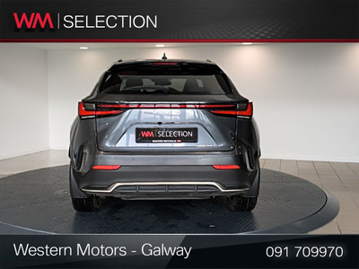 2025 Lexus NX