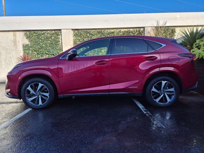 2020 Lexus NX 300h