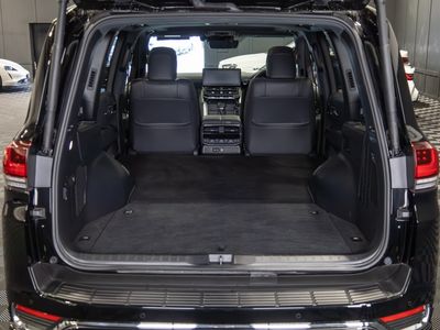 2024 Toyota Land Cruiser Amazon
