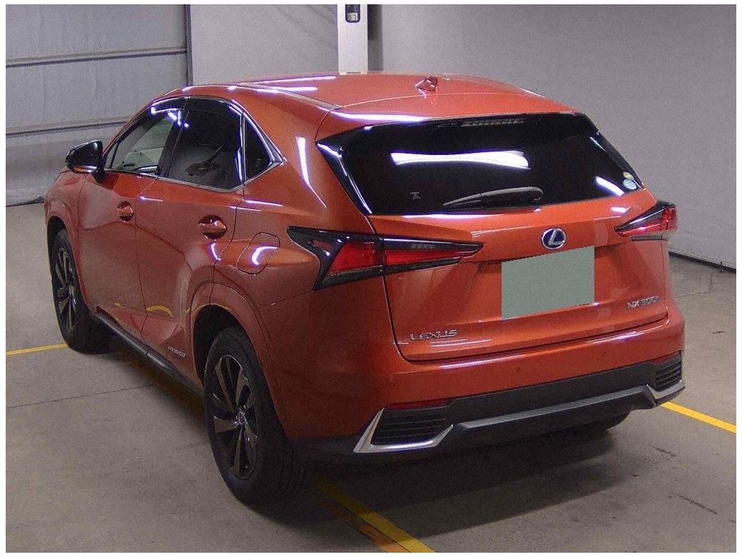 2020 Lexus NX