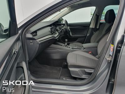 2024 Skoda Octavia