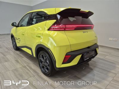 2026 BYD Dolphin Surf