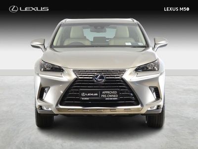 2019 Lexus NX