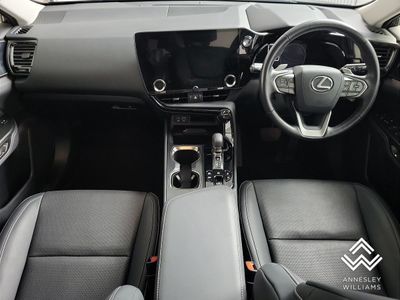 2024 Lexus NX