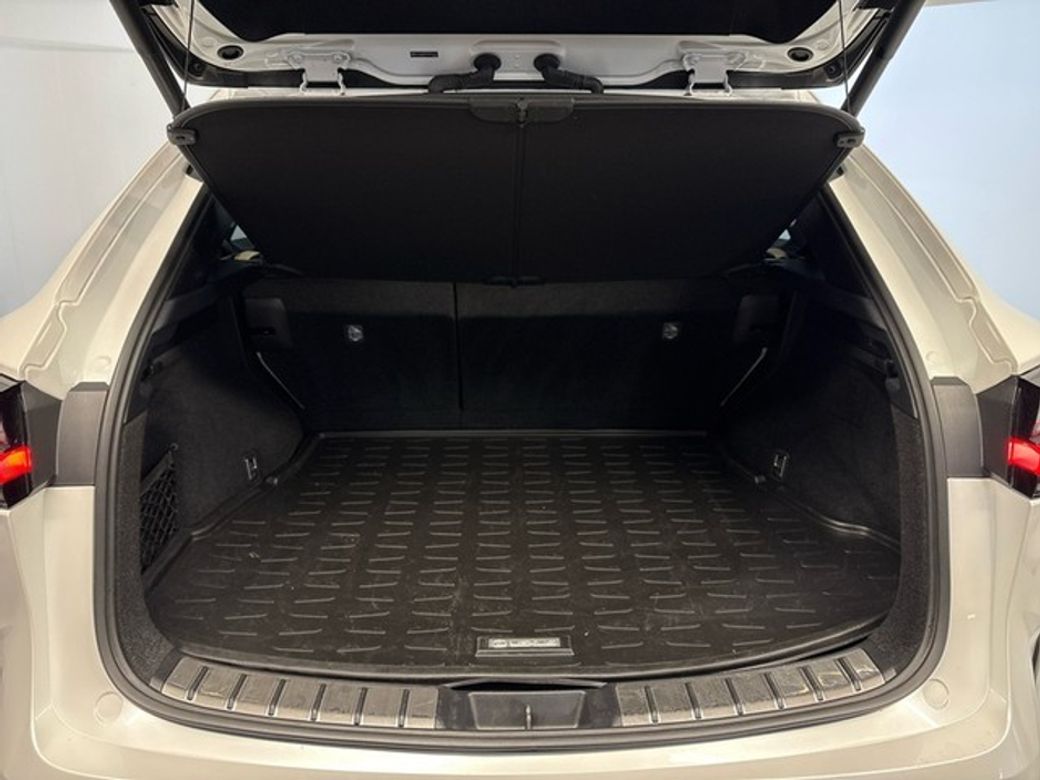 2024 Lexus NX 450H+