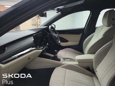2023 Skoda Octavia