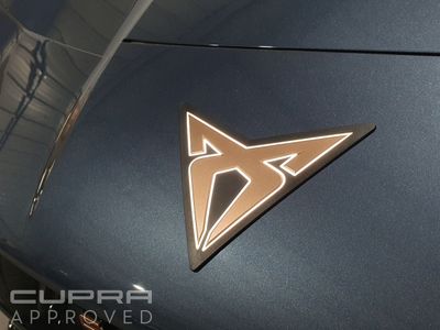 2025 Cupra Tavascan