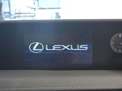 2021 Lexus UX 250H