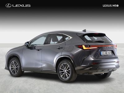 2022 Lexus NX 450H+