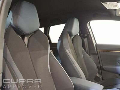 2026 Cupra Terramar