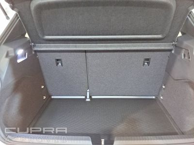 2026 Cupra Born