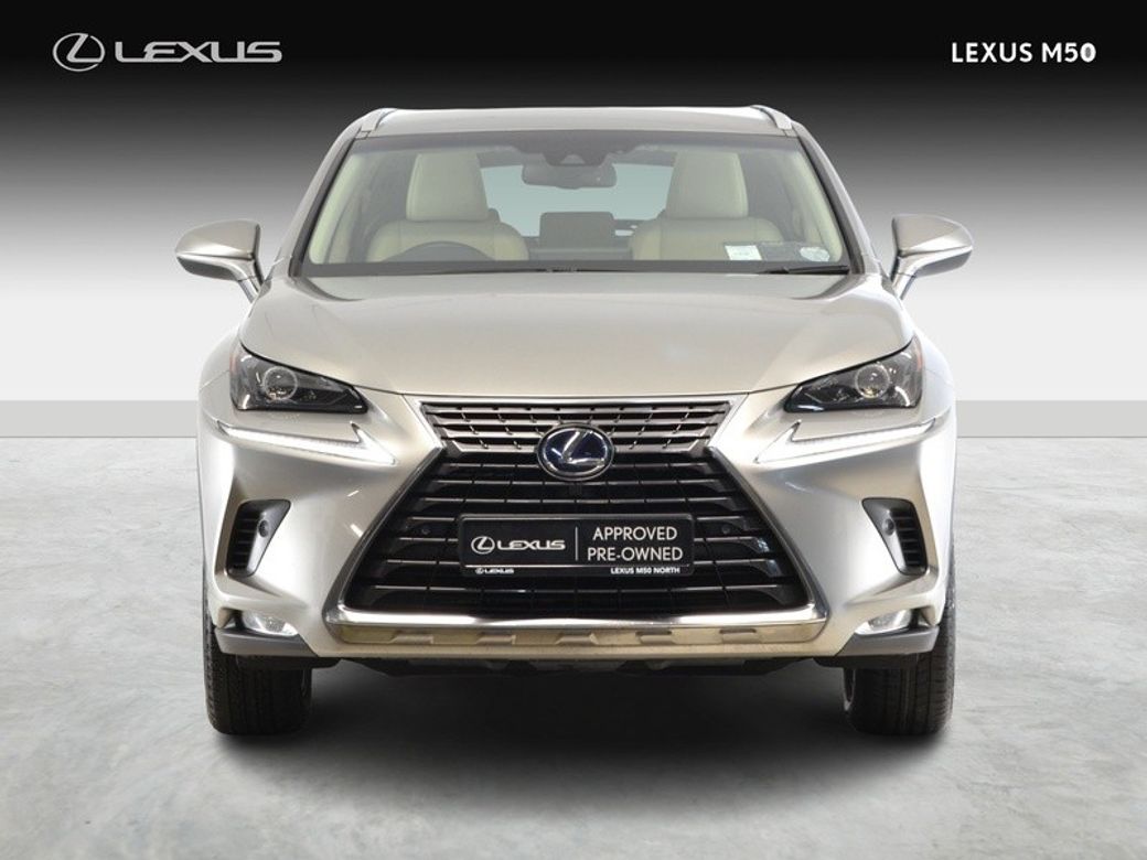 2019 Lexus NX 300h