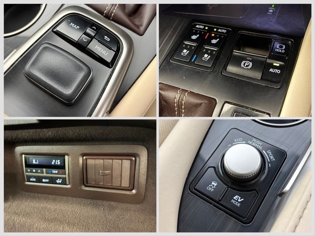 2019 Lexus RX450h