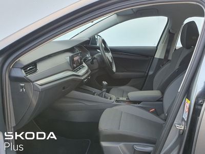2023 Skoda Octavia