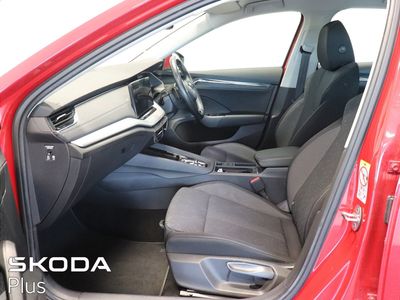 2022 Skoda Octavia