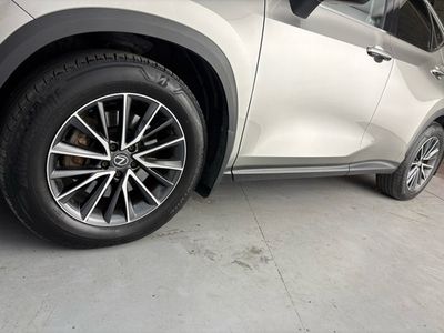 2024 Lexus NX 450H+