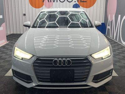 2019 Audi A4
