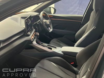 2026 Cupra Terramar