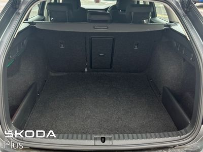 2022 Skoda Octavia