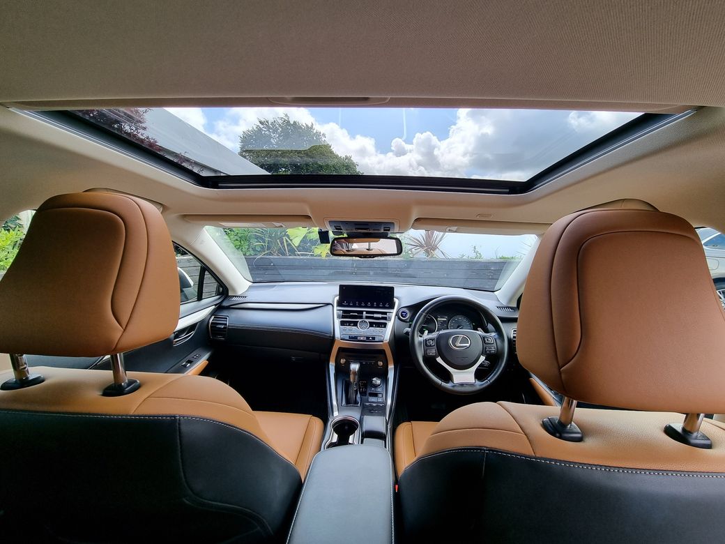 2020 Lexus NX