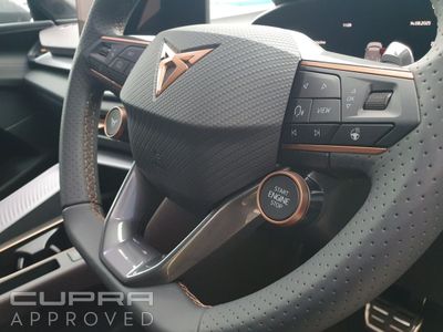 2025 Cupra Terramar