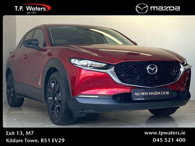 vehicle for sale from TP Waters