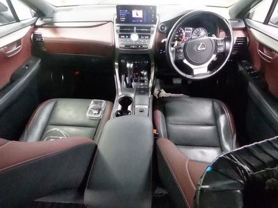 2020 Lexus NX