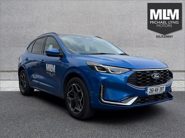 vehicle for sale from Michael Lyng Motors