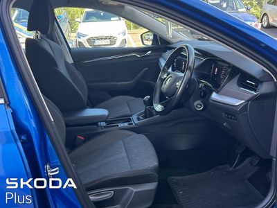 2023 Skoda Octavia