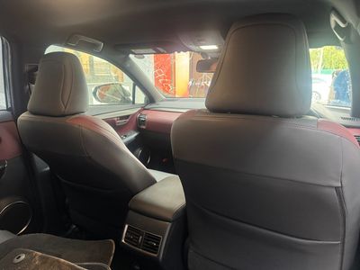 2021 Lexus NX 300h