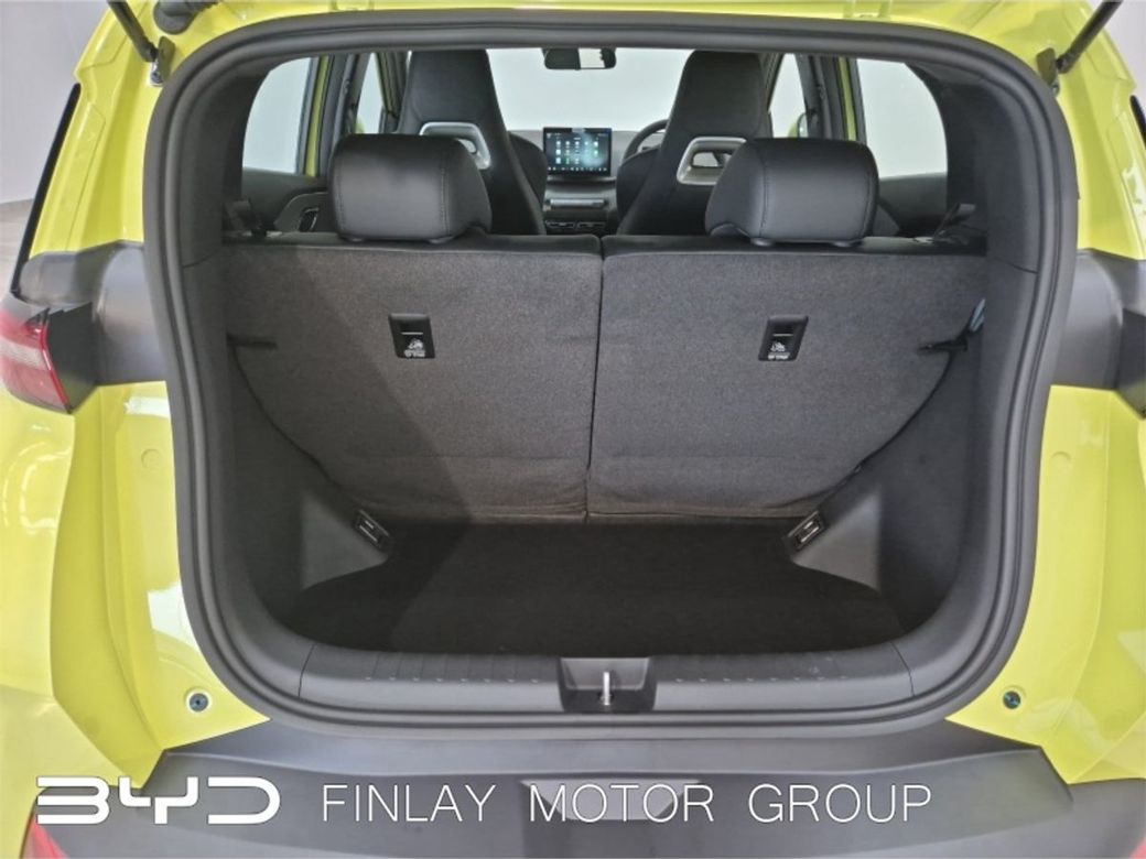 2026 BYD Dolphin Surf