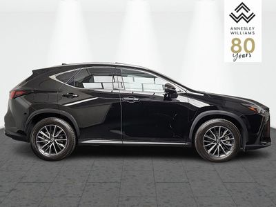 2024 Lexus NX