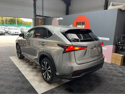 2020 Lexus NX