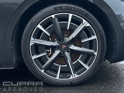 2023 Cupra Born