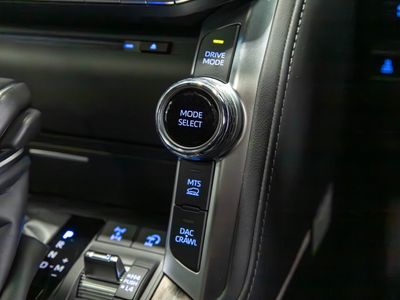 2024 Toyota Land Cruiser Amazon