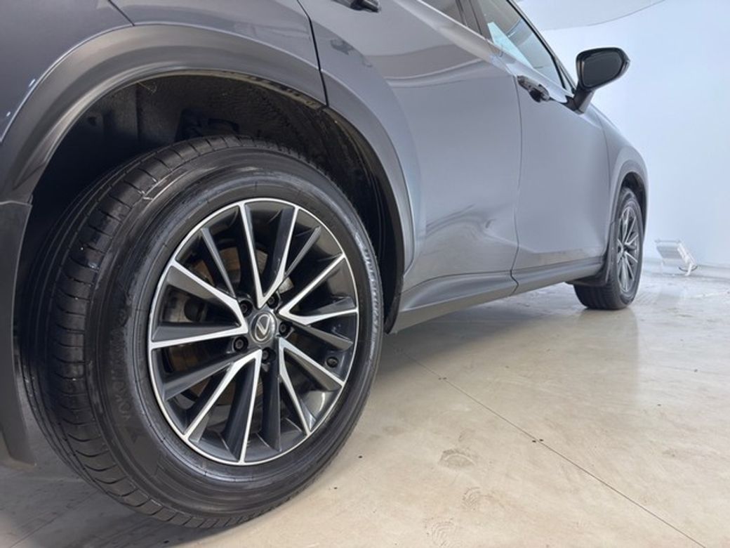 2023 Lexus NX 450H+