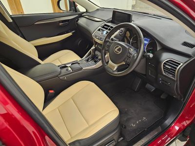 2020 Lexus NX