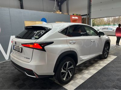 2019 Lexus NX 300h
