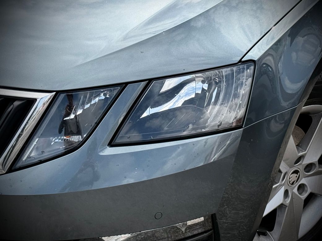 2019 Skoda Octavia